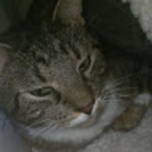 Meet your Posher, Delaney